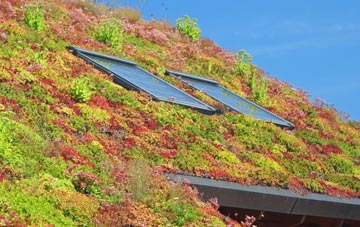 Gnosall Heath living roof systems
