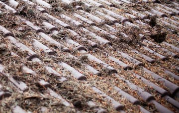 Gnosall Heath roof cleaning companies